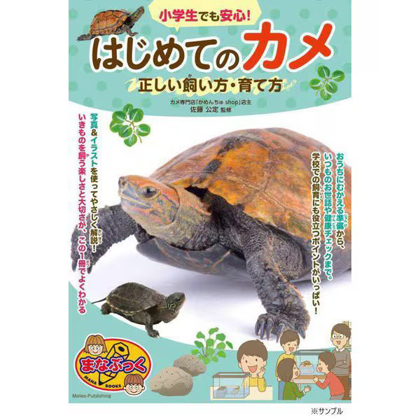 Turtle Care Book for Kids Japan Import Authorized Excellent