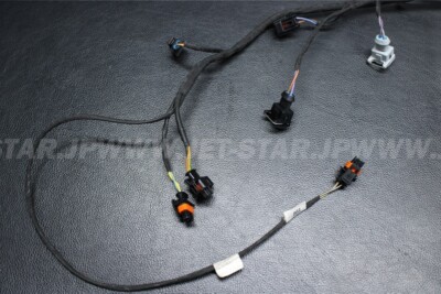 SEADOO 2006 SPEEDSTER 200 TWIN 4-TEC SCIC WIRING HARNESS ASS SEADOO 2006 SPEEDSTER 200 TWIN 4-TEC SCIC WIRING HARNESS ASS