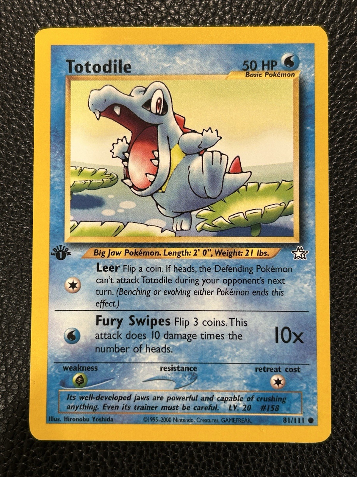 1st Edition Totodile 81/111 - Neo Genesis - Near Mint
