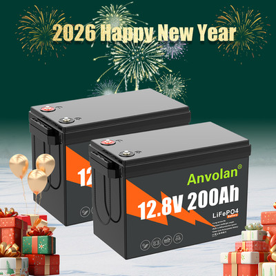 2X LithiumBatterie 12V 200Ah LiFePO4 Akku BMS Wohnmobil Solaranlage Photovoltaik