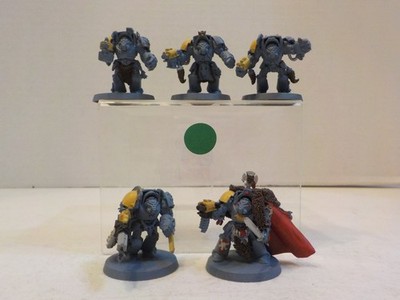 G515 Warhammer 40k Space Wolves 5x Wolf Guard Terminators OOP Space Marine paint