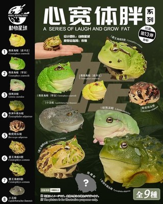Animal Heavenly Body Frog Series 13 AHB Mini Resin Chubby Figurine Collectible