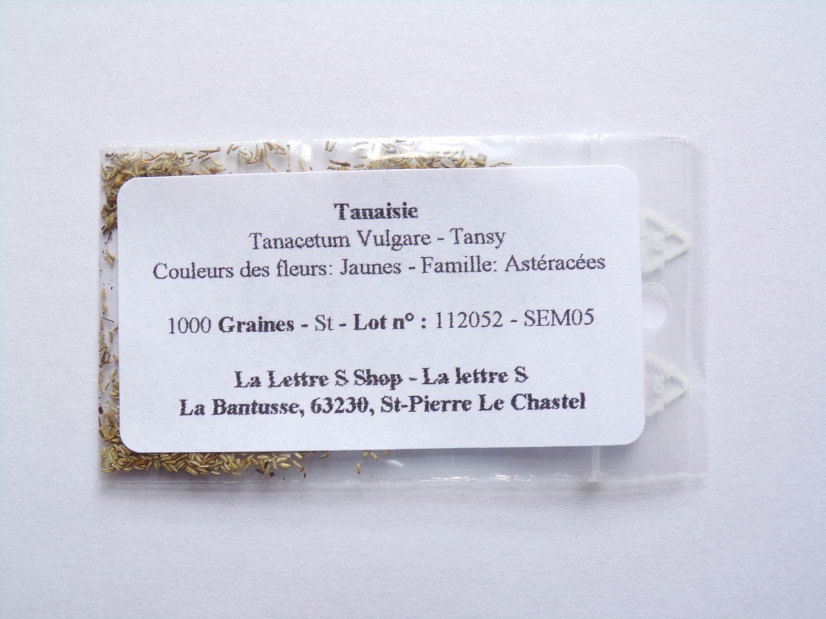 Rainfarn - Tanacetum Vulgare - (Dnger Grn) - SEM05 | eBay.de