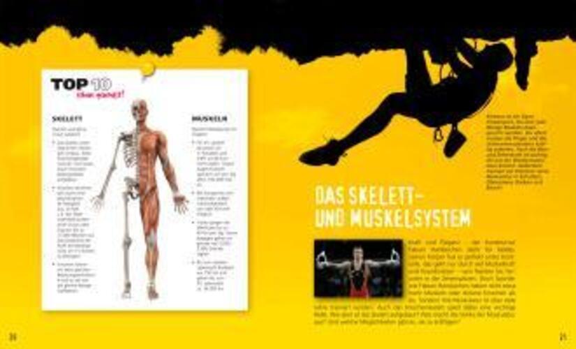 Thumbnail - Mensch | Ingo Froböse | Rundum Fit Biologie, Ernährung, Bewegung |
