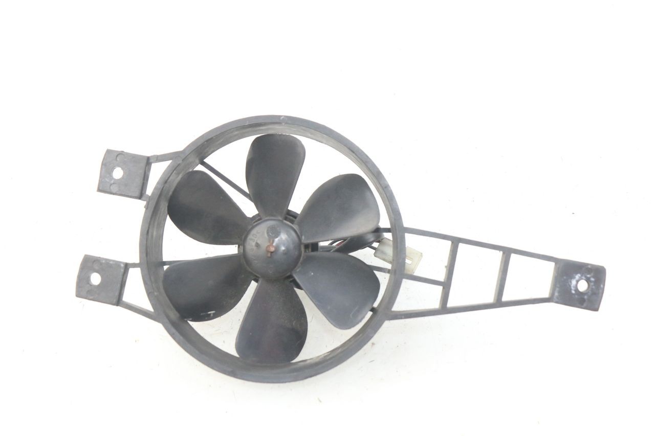 FAN - PEUGEOT GEOPOLIS 400 (2007 - 2013)