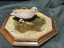 Hand Carved Art Sculpture Wood Carving Shorebird Statue Clapper Rail Marsh Bird