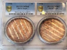Rare PCGS Double Holder Toned American Silver Eagles 1990  No Reserve