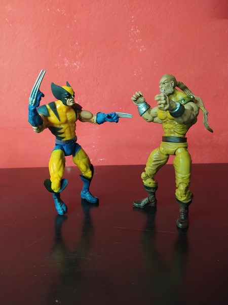 LOBEZNO VS DIENTES DE SABLE MARVEL LEGENDS WOLVERINE SABRETOOTH ACTION FIGURE