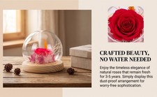 Preserved Rose In Glass Dome Dust Proof Elegant Preserved Flower Gift For X EVZY