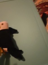 Ty Beanie Baby  BALDY the Bald Eagle (6 Inch) NWT Plush Stuffed Animal Toy USA