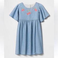 Baby Gap Flutter Sleeve Dress Embroidered Cherries Girls Size 5