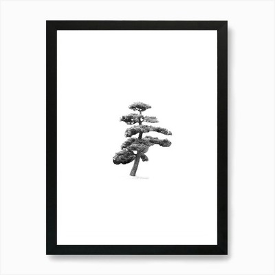 Japanischer Bonsai Kiefer Kunstdruck gerahmt Wandbild Poster Leinwanddruck Bild