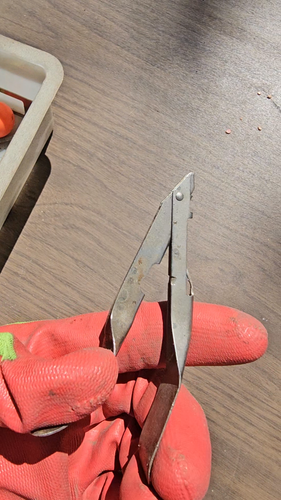 Orthopädische Drahtschneiderzange Instrument Klammerentferner - Video 1 von 1