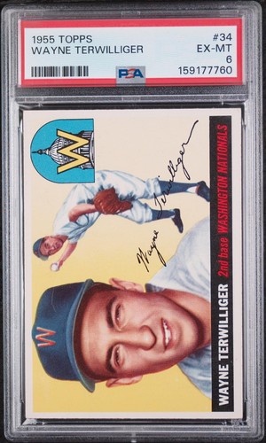 Wayne Terwilliger 1955 Topps Washington Nationals Vintage Baseball  PSA 6