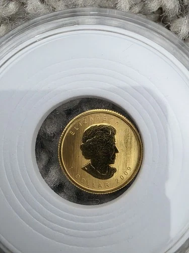 2009 Canadian Gold Maple Leaf 1/20 oz — photo from the most recent tracked eBay sale