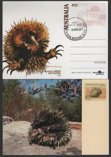 1987 Australia ECHIDNA Spiny Ant Eater Postcard and Frama Maxi Card - SEE TEXT