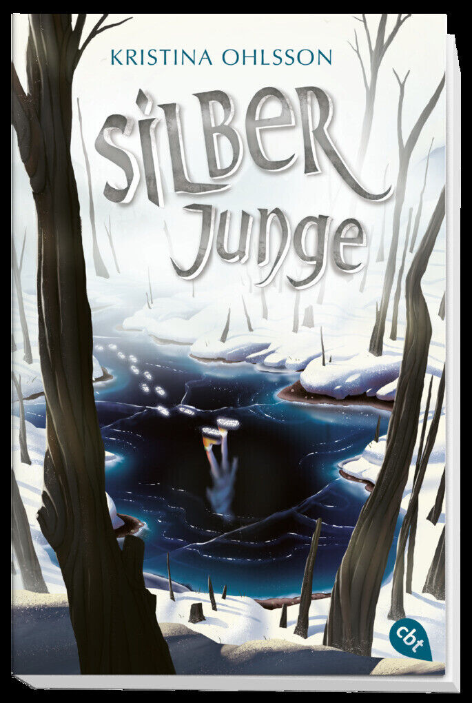 Thumbnail - Silberjunge | Kristina Ohlsson | 2019 | Deutsch | Silverpojken
