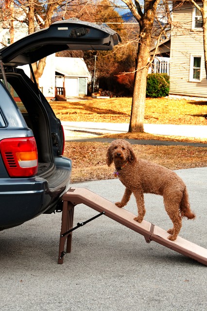 pet gear free standing pet ramp