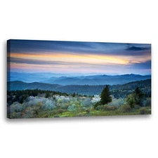 Large Framed Wall Art Ready to Hang 20" x 40" Scenic Blue Ridge Parkway Appal...