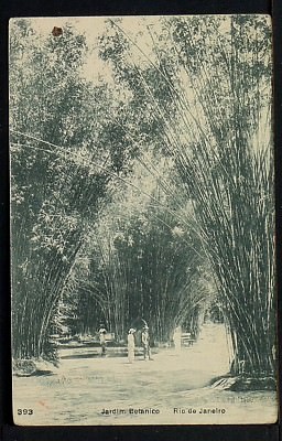 BRAZIL 17 -RIO DE JANEIRO, Jardim Botanico