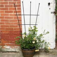 Garden Gear 1.2m Fan Trellis Garden Plant Flower Support Planter Frame Lattice