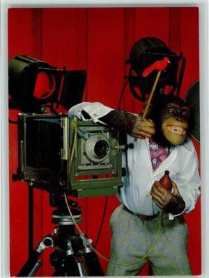 10155201 - Humanized Monkey with a Camera on a Tripod AK