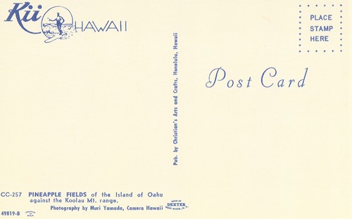 Aerial View of Pineapple Field, Island of Oahu - Hawaii Postcard - Picture 2 of 2