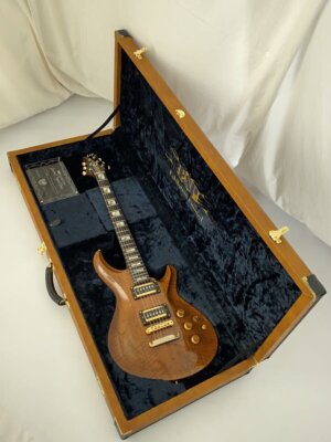 Electric Guitar ESP EX16-71 MYSTIQUE-CTM-NT