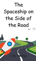 Lily Young | The Spaceship On The Side Of The Road | Buch | Englisch (2024)