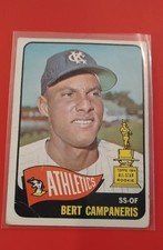 1965 Topps Football Cards 19