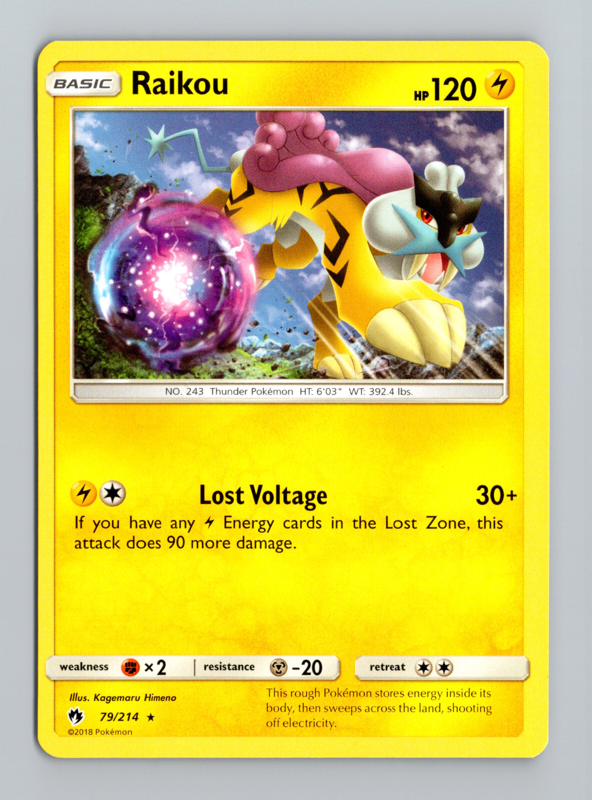 2018 Raikou - 79/214 Pokemon TCG SM Lost Thunder Rare
