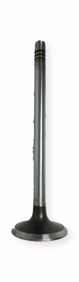 Válvula de escape del motor 211-2464 2112464 Ford Escort Mercury Lynx 1981-1990 ¡Nueva! Foto 2 de 2