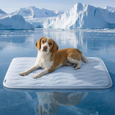 Cooling Mat for Large Dogs - Q-Max 0.4 Thin Breathable Cooling Crate Pad Indoor
