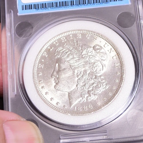 1886 Morgan Dollar - Gem BU - Old Plastic (#57118-L)