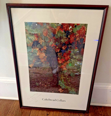Rare Cakebread Cellars Vineyard Art Vintage Framed & Signed by Staff Napa Valley