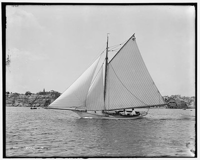 Photo:Owl Sailboat Yacht 1890s Harbor Sailing Vessel