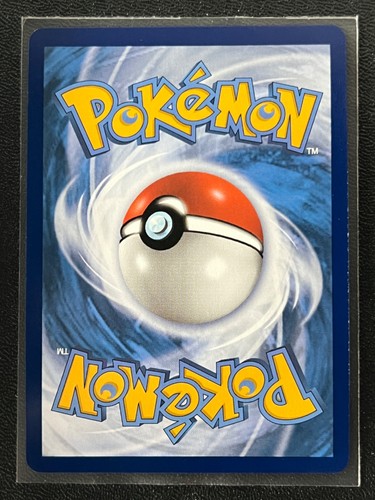 Lucario V SWSH213 Black Star Promo Premium Collection Pokemon TCG - Near Mint NM - Bild 5 von 6