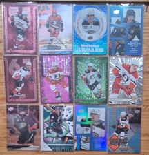 12 Pack Anaheim Ducks - Sp/Dazzlers/Canvas - 2024 Upper Deck Hockey Cards -