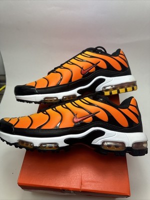 Nike Air Max plus TN Sunset orange EU45 US11 UK10 DSWT Neu Mit Box