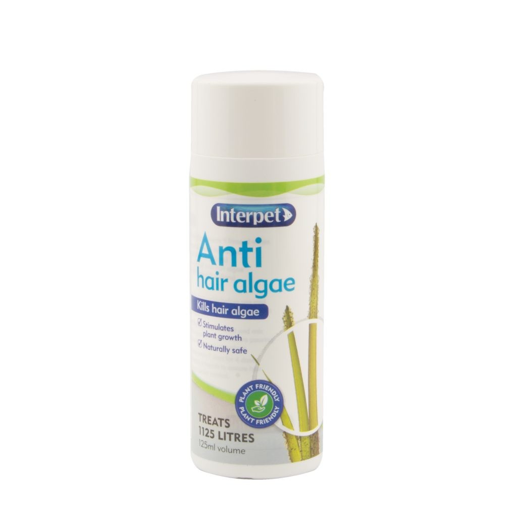 Interpet Anti Hair Algae Aquarium Treatment 125ml