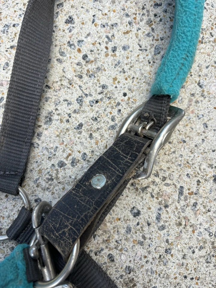 USED Centaur Breakaway Halter - Cob Size But Fits Large - Image 4 of 4