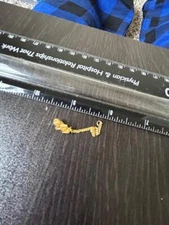 Fraternity Sorority Sigma Epsilon chapter guard pin gold tone  (H2023H)