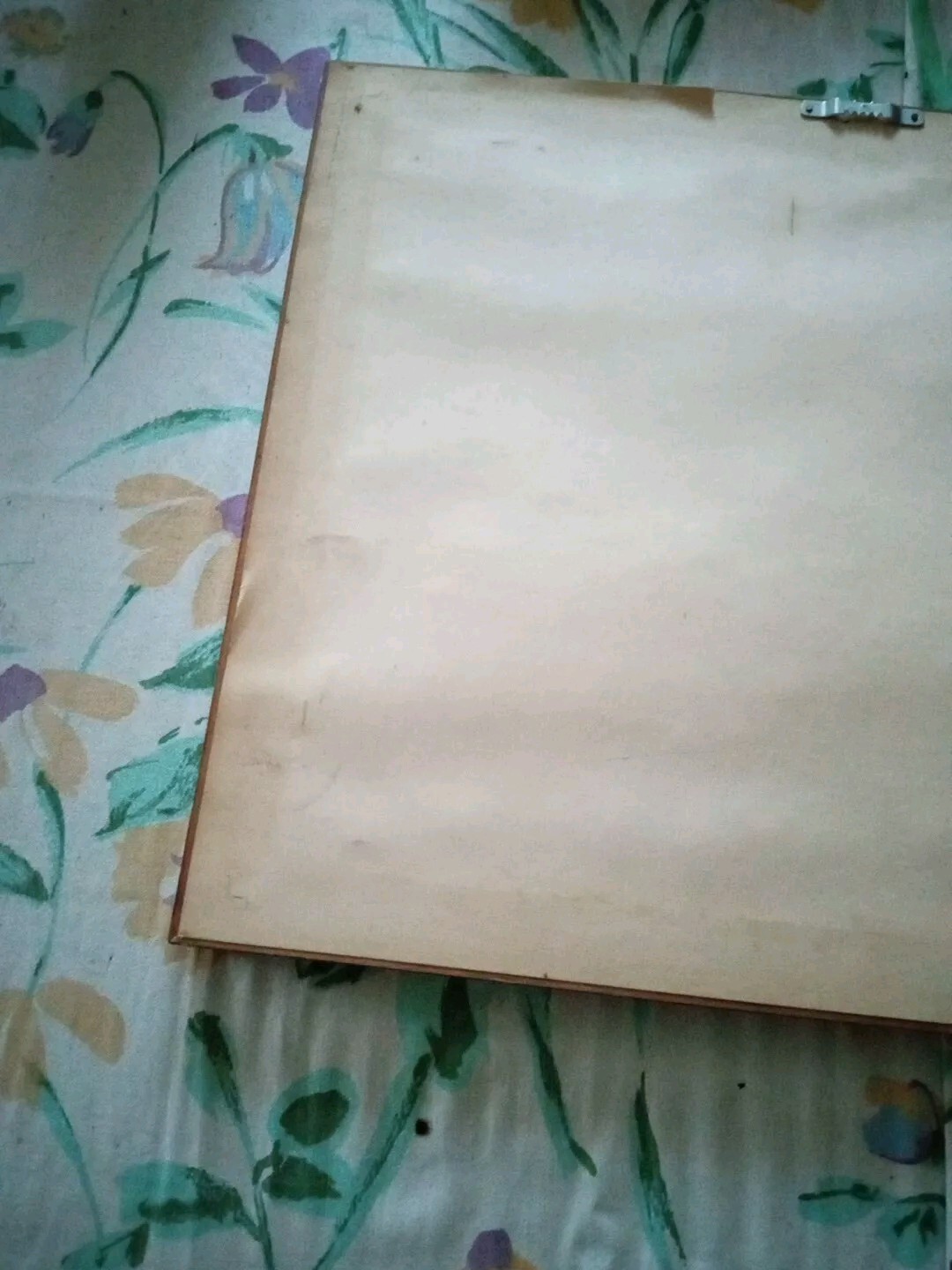 Foto 13 di 20