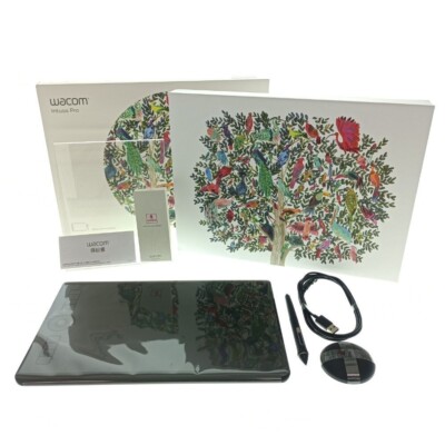 Wacom Pen Tablet Intuos Pro Medium PTH-660/K0 2017 Tasted