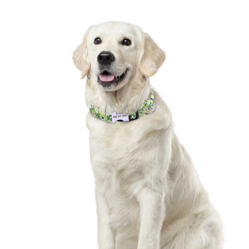 Floral Pet Dog Collar Personalized Name Number ID Tag Engraved Adjustable S M L - Picture 17 of 32
