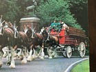 vintage 1983 Anheuser Busch Budweiser Clydesdale Wagon50th anniversary poster   — photo 3