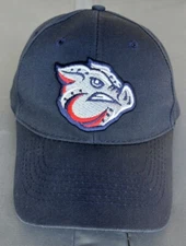 Lehigh Valley IronPigs Bimm Ridder Sportswear Hat Cap MiLB Minor League Baseball
