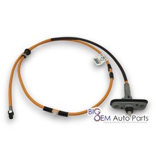 2017-2020 Ford F-150 Raptor Radio Antenna Base Mount Cable Oem New Hl3z-18a984-a