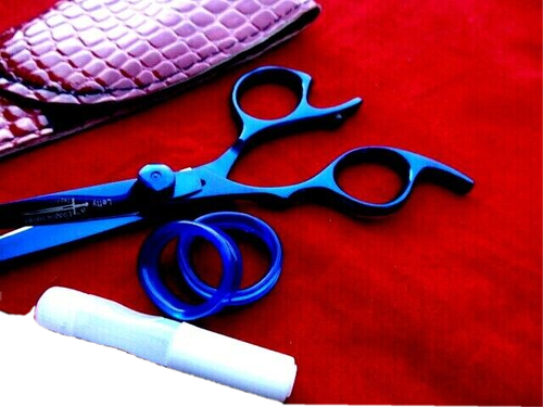 Left Hand_5.5" Titanium Hairdressing Cutting Scissors_Japanese Steel (6" FULL) - Picture 7 of 9