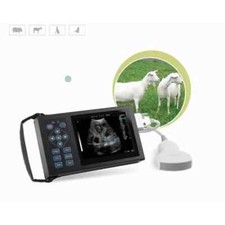 Veterinary Ultrasound Machine Detector B Ultrasound Sow Pregnancy Test Detection